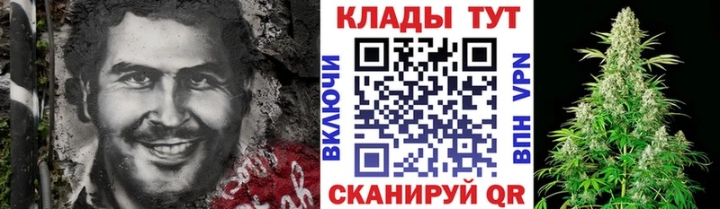  COCAIN Борзя