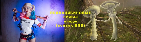 PSILOCYBIN Армянск