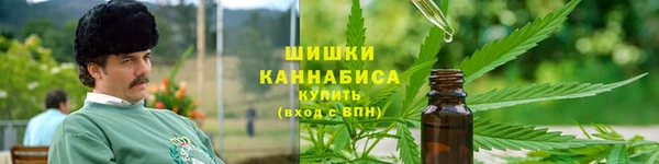 PSILOCYBIN Армянск