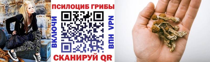 Галлюциногенные грибы мухоморы  Борзя 
